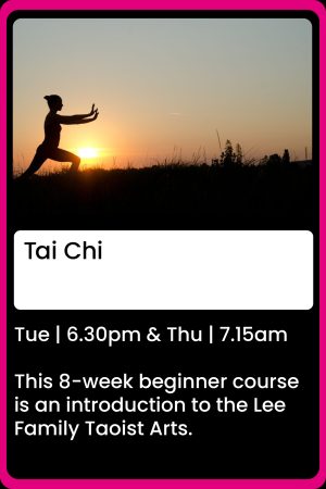 Taoist Yoga Qi Gong Daoyin Kaimen London Class Islington